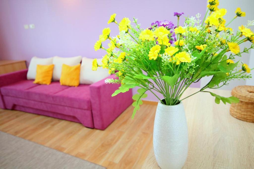 Flowers Apartments Timisoara Esterno foto